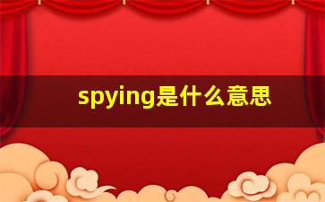 spying是什么意思