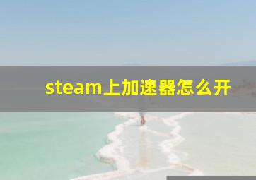 steam上加速器怎么开