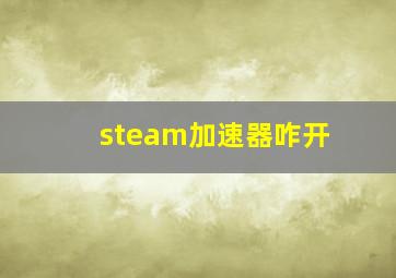 steam加速器咋开