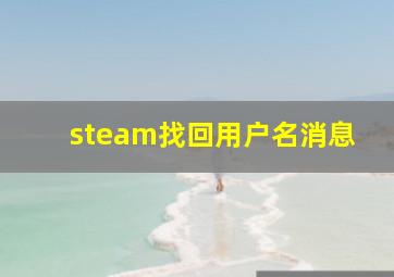 steam找回用户名消息