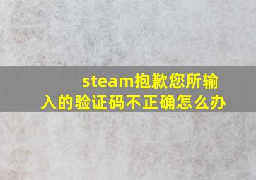 steam抱歉您所输入的验证码不正确怎么办