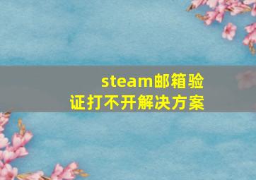 steam邮箱验证打不开解决方案