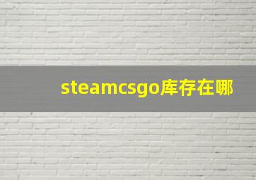 steamcsgo库存在哪