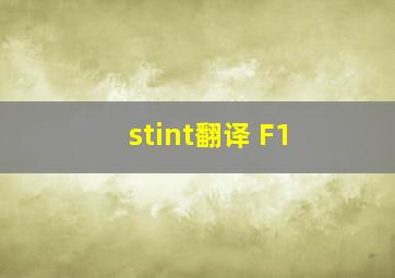 stint翻译 F1