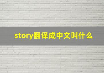 story翻译成中文叫什么