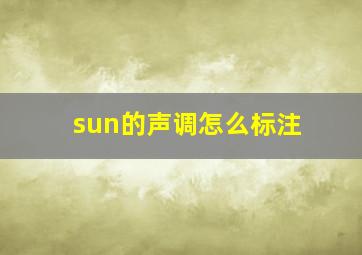 sun的声调怎么标注