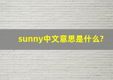 sunny中文意思是什么?