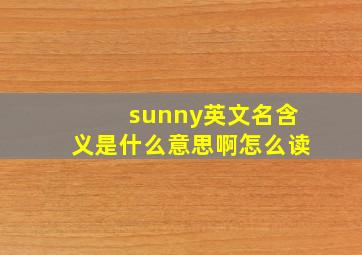 sunny英文名含义是什么意思啊怎么读