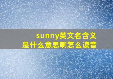 sunny英文名含义是什么意思啊怎么读音