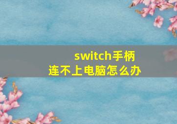 switch手柄连不上电脑怎么办