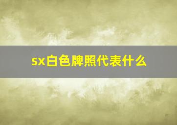 sx白色牌照代表什么