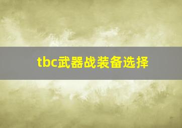 tbc武器战装备选择