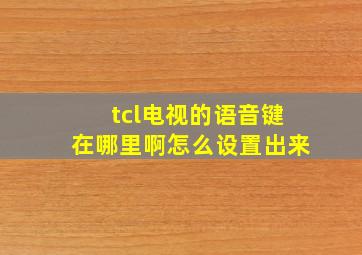 tcl电视的语音键在哪里啊怎么设置出来