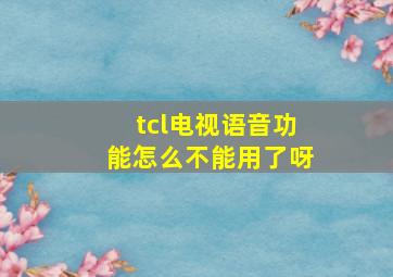 tcl电视语音功能怎么不能用了呀