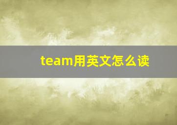 team用英文怎么读