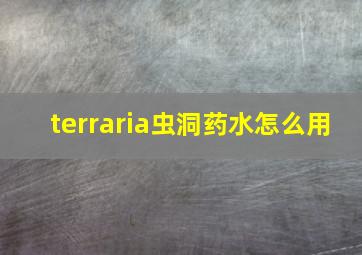 terraria虫洞药水怎么用