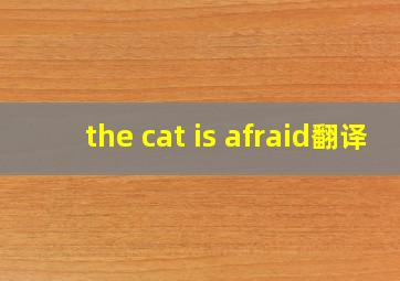 the cat is afraid翻译