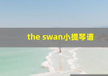 the swan小提琴谱