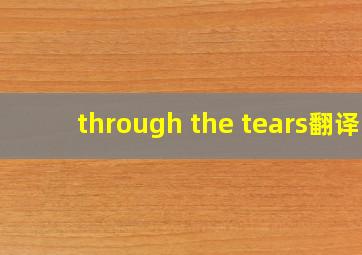 through the tears翻译