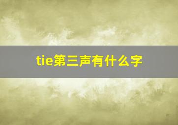 tie第三声有什么字