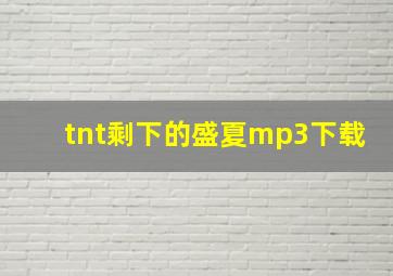 tnt剩下的盛夏mp3下载