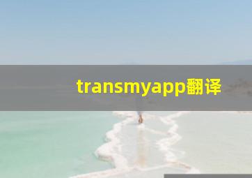 transmyapp翻译