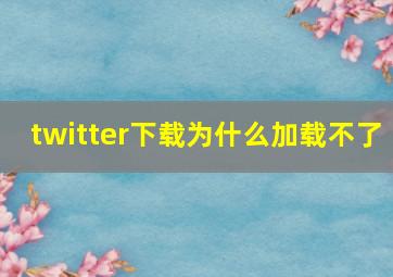 twitter下载为什么加载不了