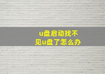 u盘启动找不见u盘了怎么办