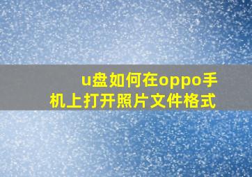 u盘如何在oppo手机上打开照片文件格式