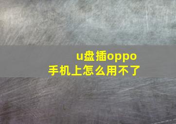 u盘插oppo手机上怎么用不了