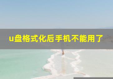 u盘格式化后手机不能用了