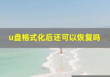 u盘格式化后还可以恢复吗