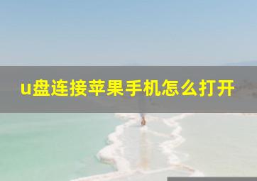 u盘连接苹果手机怎么打开