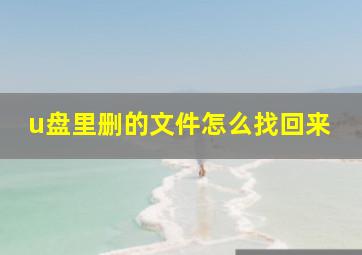 u盘里删的文件怎么找回来