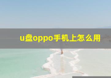 u盘oppo手机上怎么用