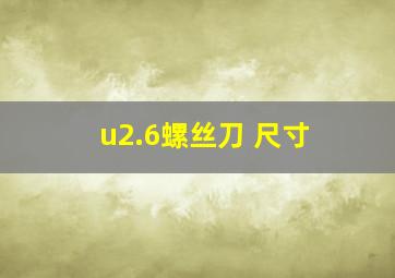 u2.6螺丝刀 尺寸