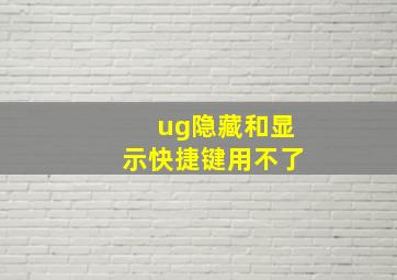 ug隐藏和显示快捷键用不了