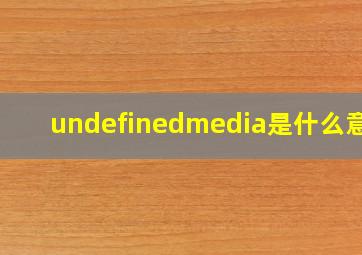 undefinedmedia是什么意思