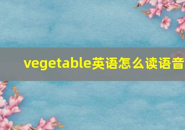 vegetable英语怎么读语音