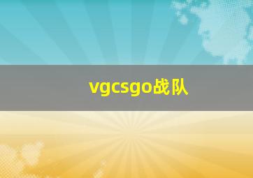 vgcsgo战队