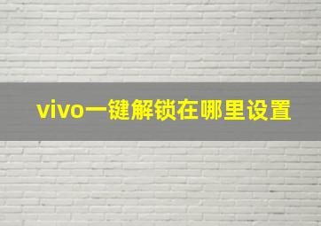 vivo一键解锁在哪里设置