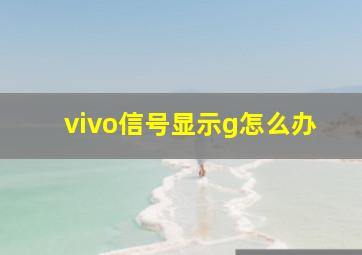 vivo信号显示g怎么办