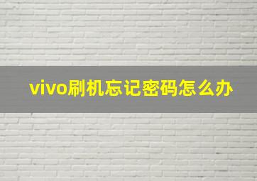 vivo刷机忘记密码怎么办