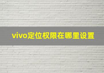 vivo定位权限在哪里设置