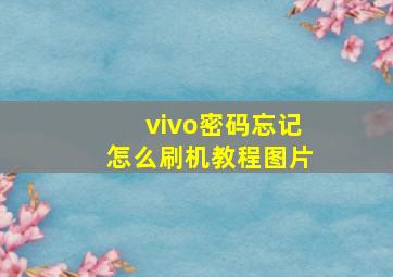 vivo密码忘记怎么刷机教程图片