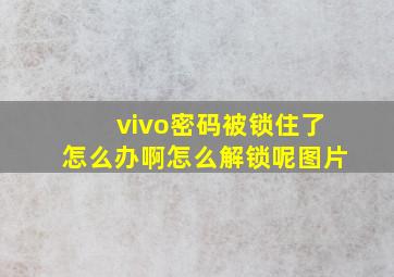 vivo密码被锁住了怎么办啊怎么解锁呢图片