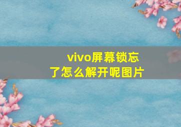 vivo屏幕锁忘了怎么解开呢图片