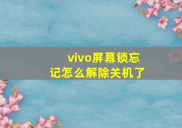 vivo屏幕锁忘记怎么解除关机了