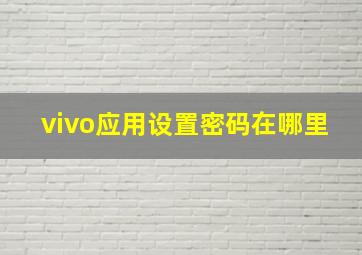 vivo应用设置密码在哪里