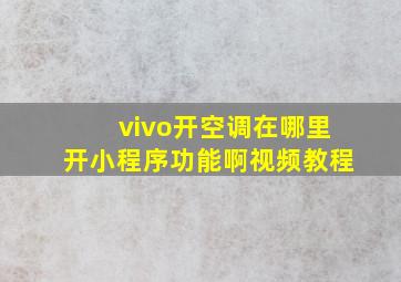 vivo开空调在哪里开小程序功能啊视频教程